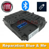Réparation Module Blue and Me FIAT Idea